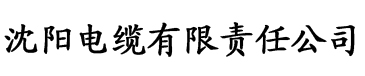 悠悠影视电缆厂logo